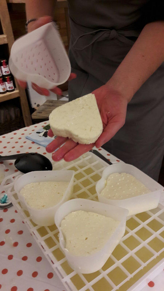 Käse selber machen - Käseglück